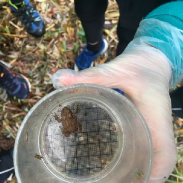 Y6 Nature Reserve trip 1